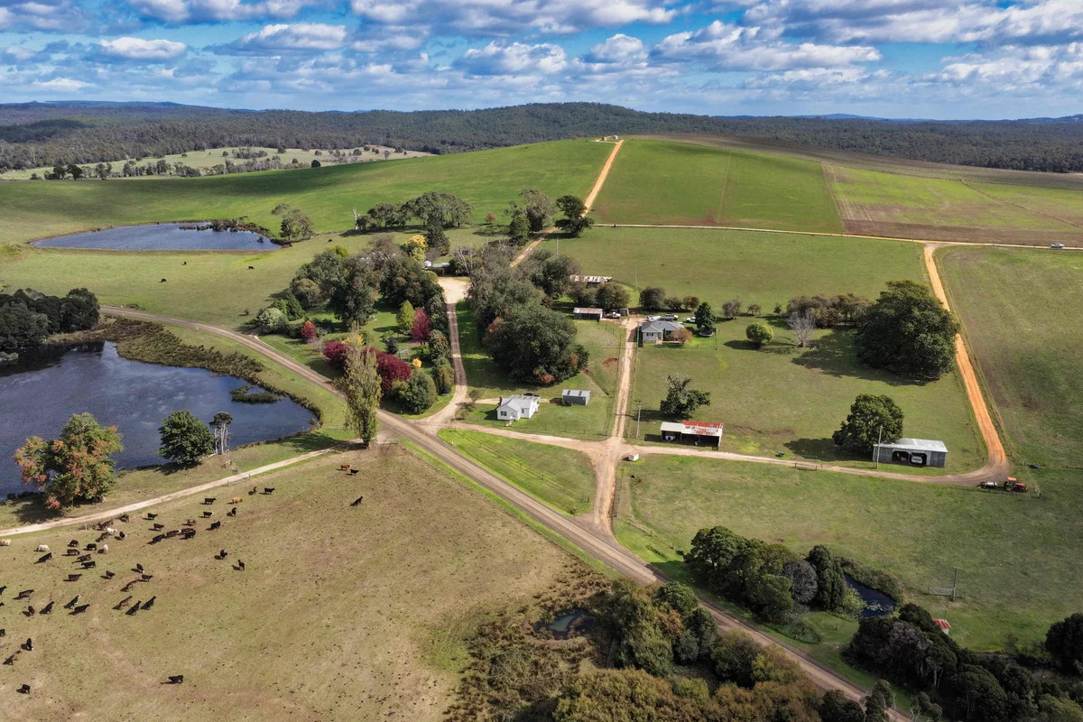 985 Ferny Hill Road, Bridport TAS 7262