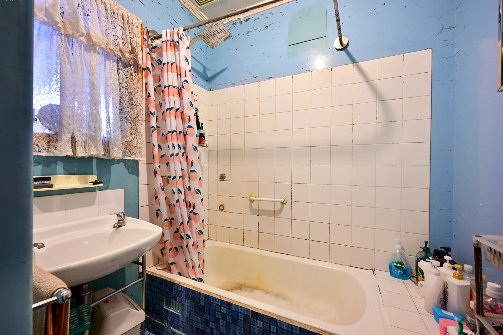 Additional image 10 of 50 McRitchie Crescent, Whyalla Stuart SA 5608