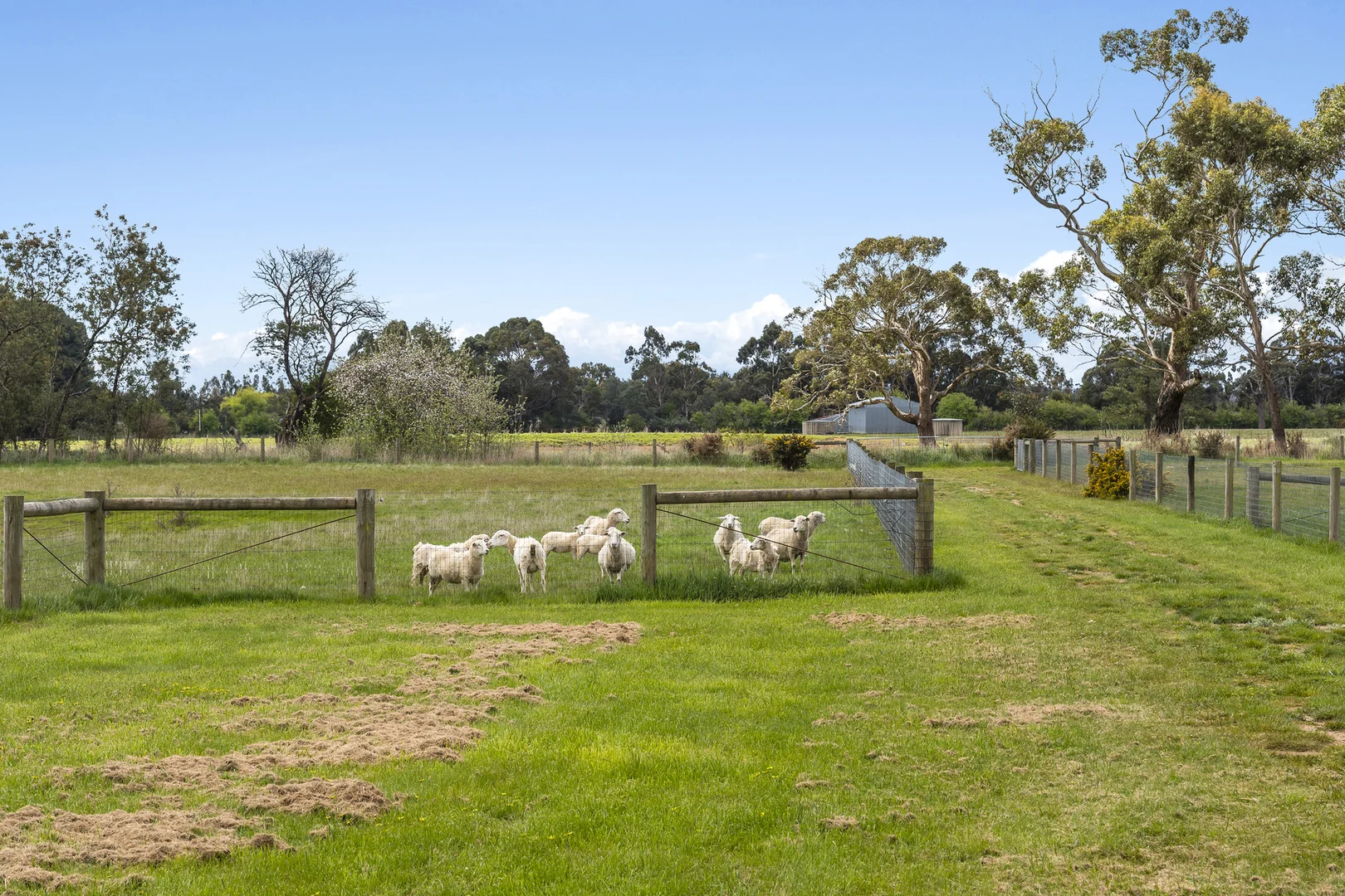 Additional image 8 of 98 Kronks Lane, Woodend VIC 3442