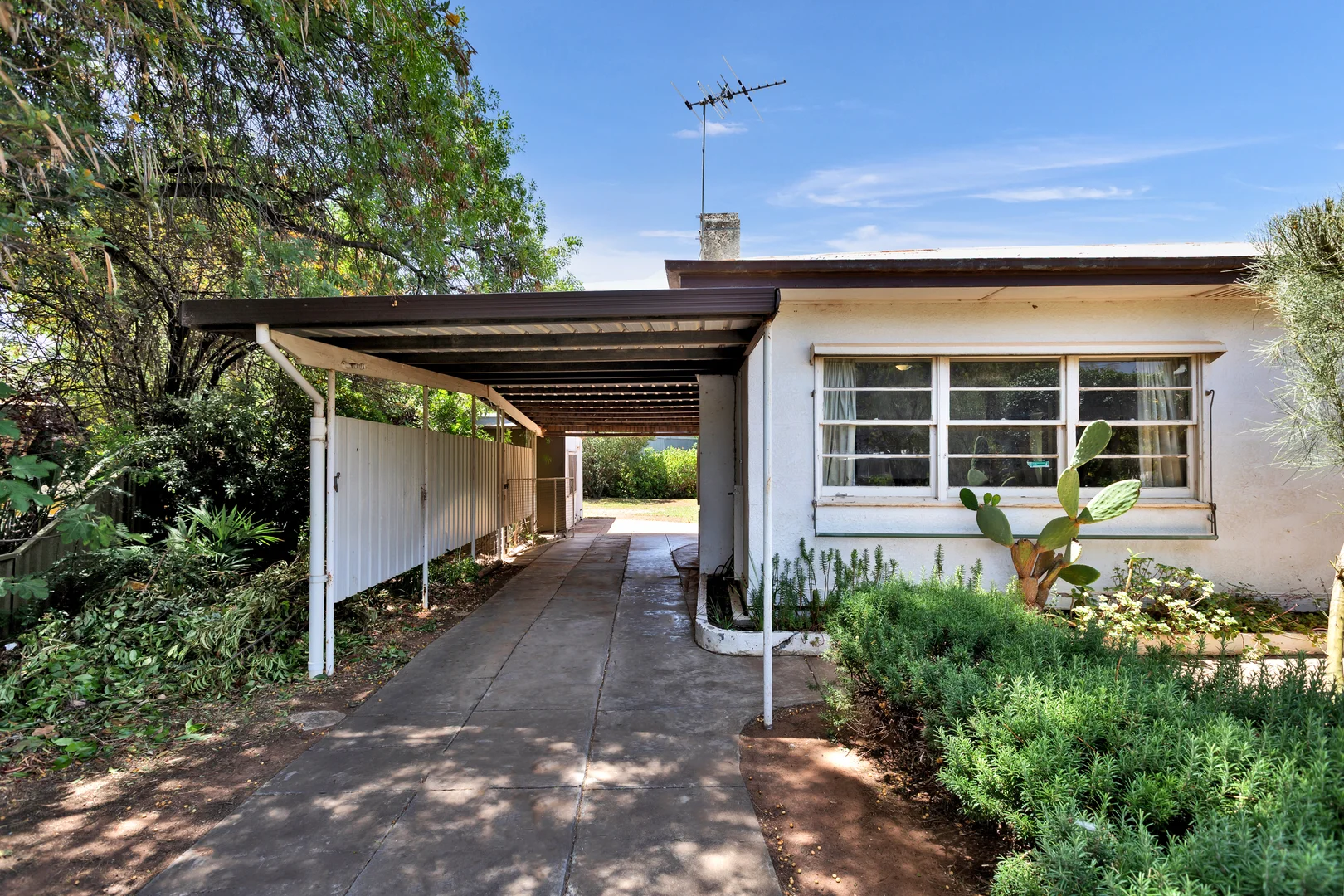 Additional image 5 of 138 Hawthorn Grove, Mildura VIC 3500