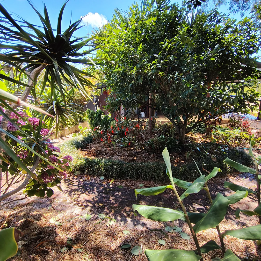 Additional image 5 of 1401, 6405 South Coast Highway, Nornalup WA 6333