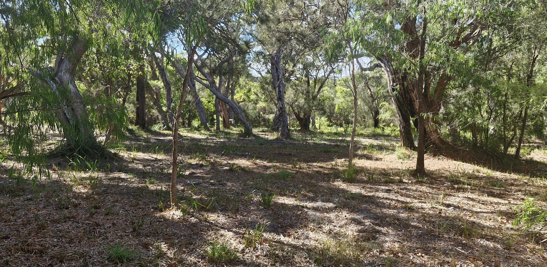Additional image 5 of 14 Burton Close, Walpole WA 6398