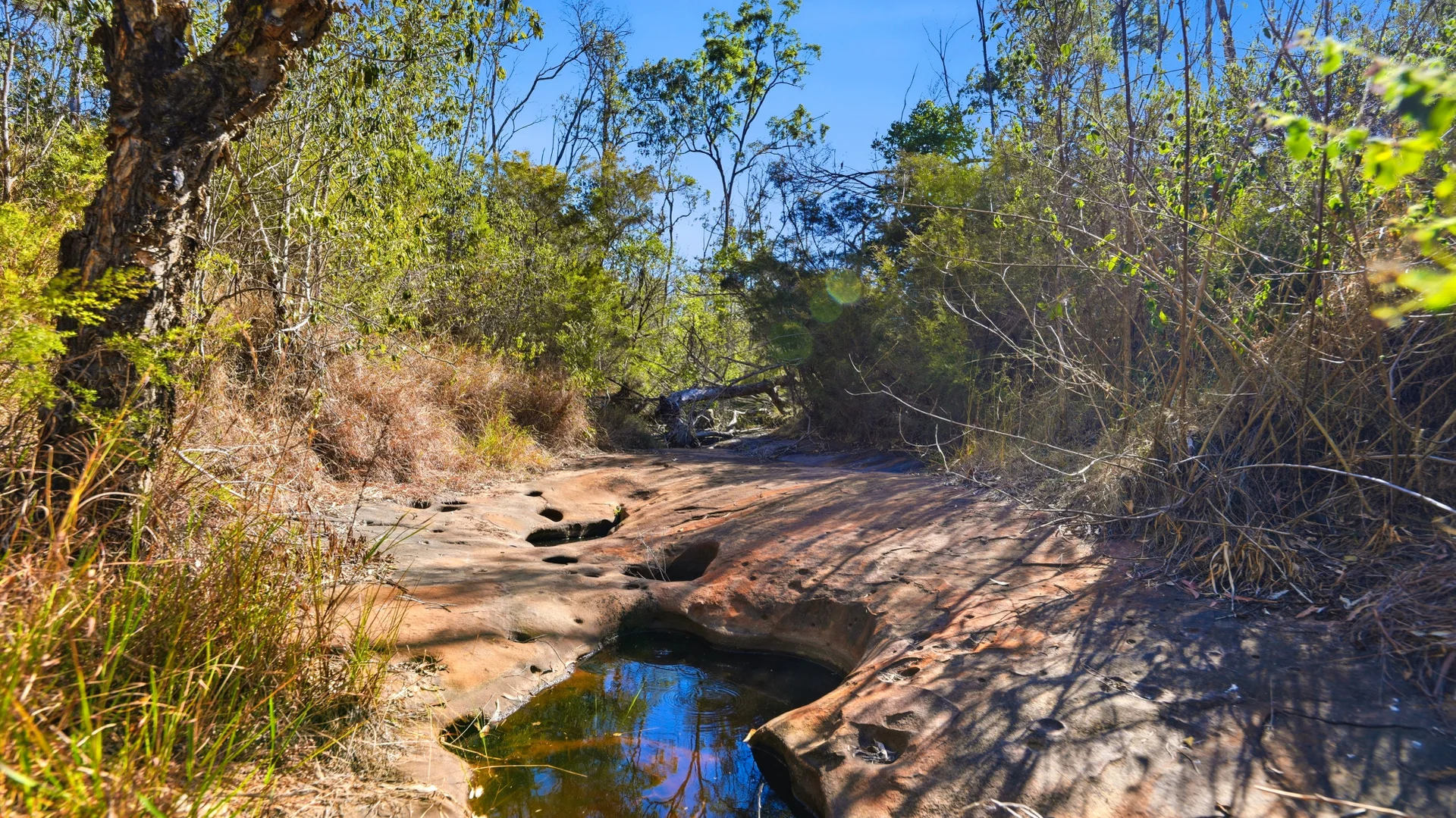 Additional image 15 of 449 Meyers Road, Ramornie NSW 2460