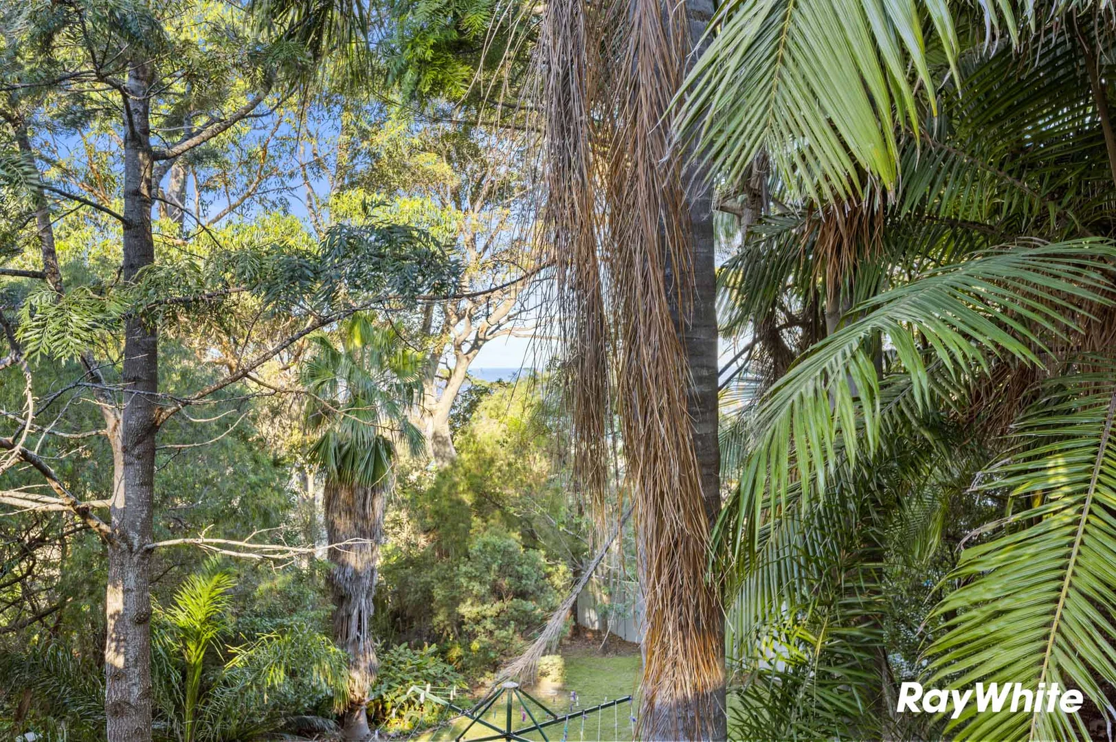 Additional image 3 of 352 George Bass Drive, Lilli Pilli NSW 2536