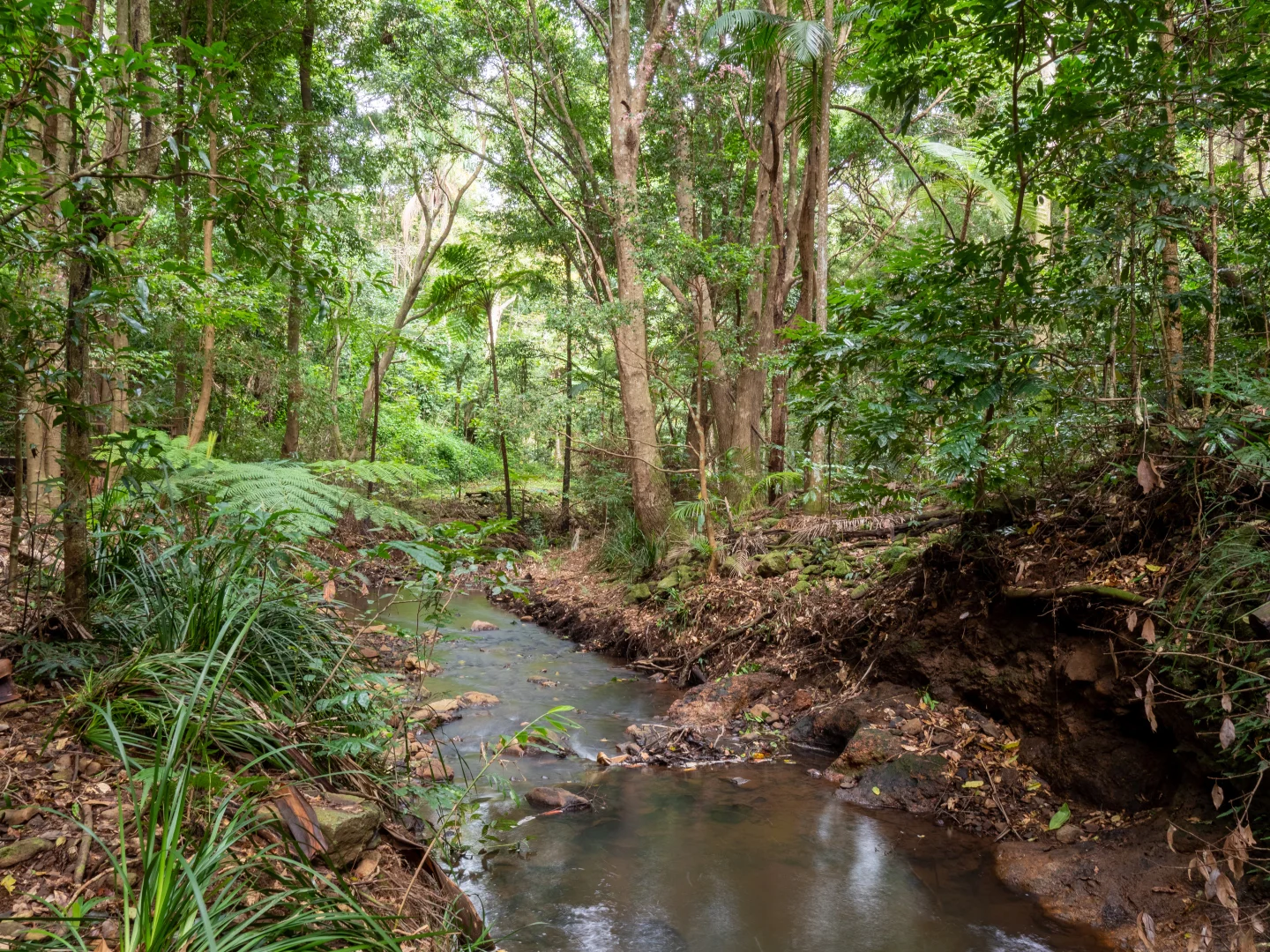 Additional image 9 of 21 Carrington Drive, Flaxton QLD 4560