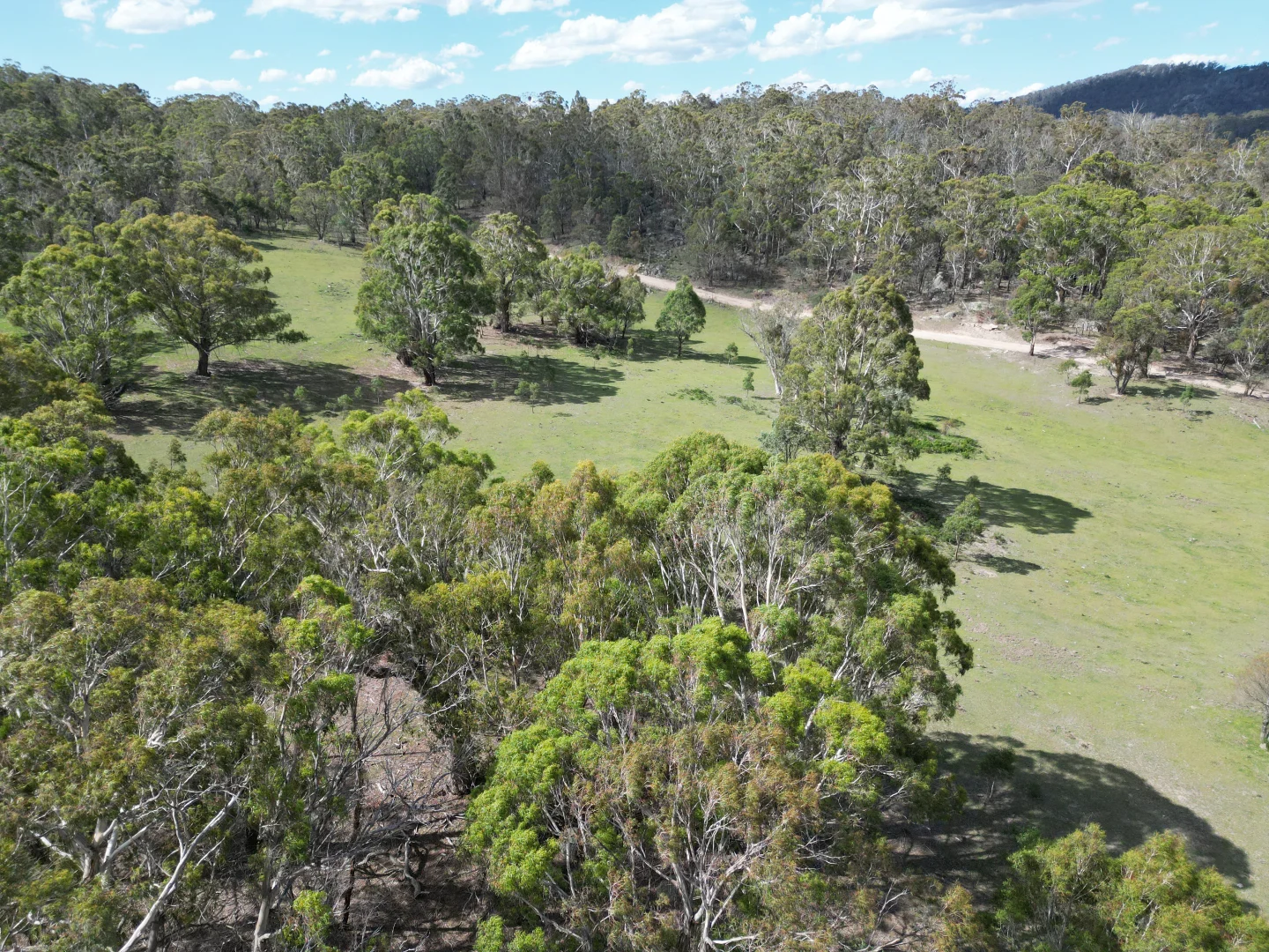 Additional image 21 of 29, 175 Tumbledown Road, Peak View NSW 2630
