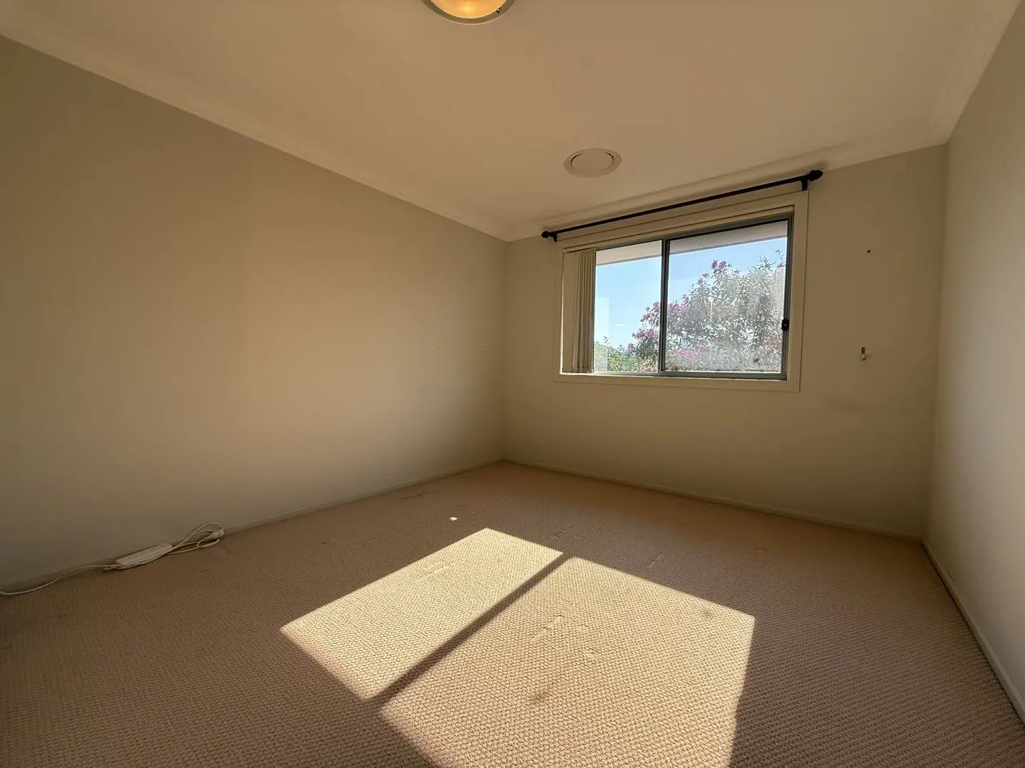 Additional image 9 of 19 Irvine Crescent, Ryde NSW 2112