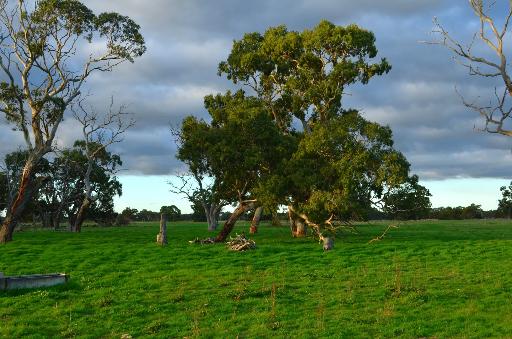 Additional image 44 of Southern Ports Highway, Mount Benson SA 5275
