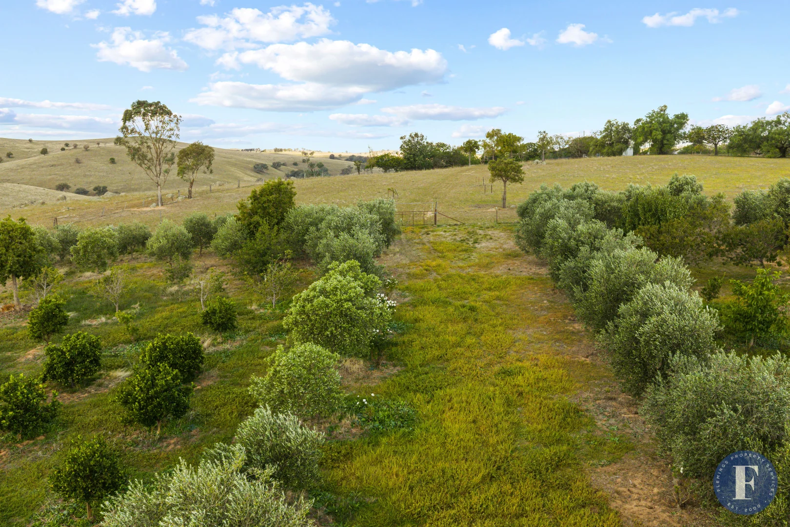 Additional image 16 of 438 Ironbark Lane, Boorowa NSW 2586