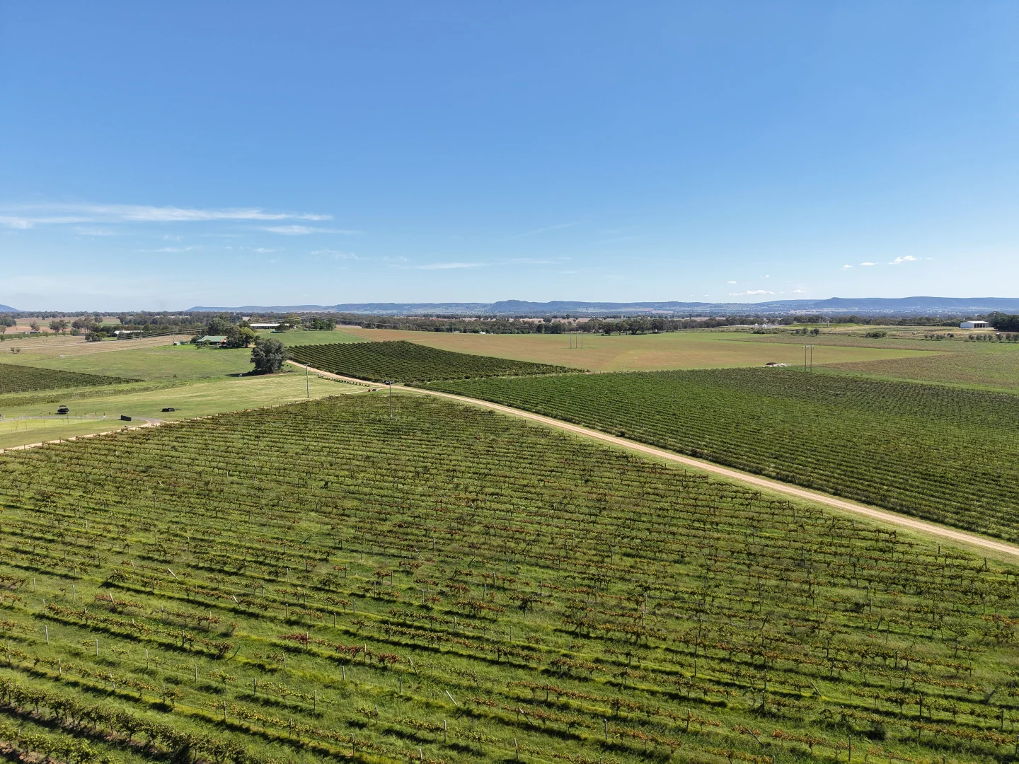 Additional image 13 of Lot 10 Chardonnay Lane, Cowra NSW 2794