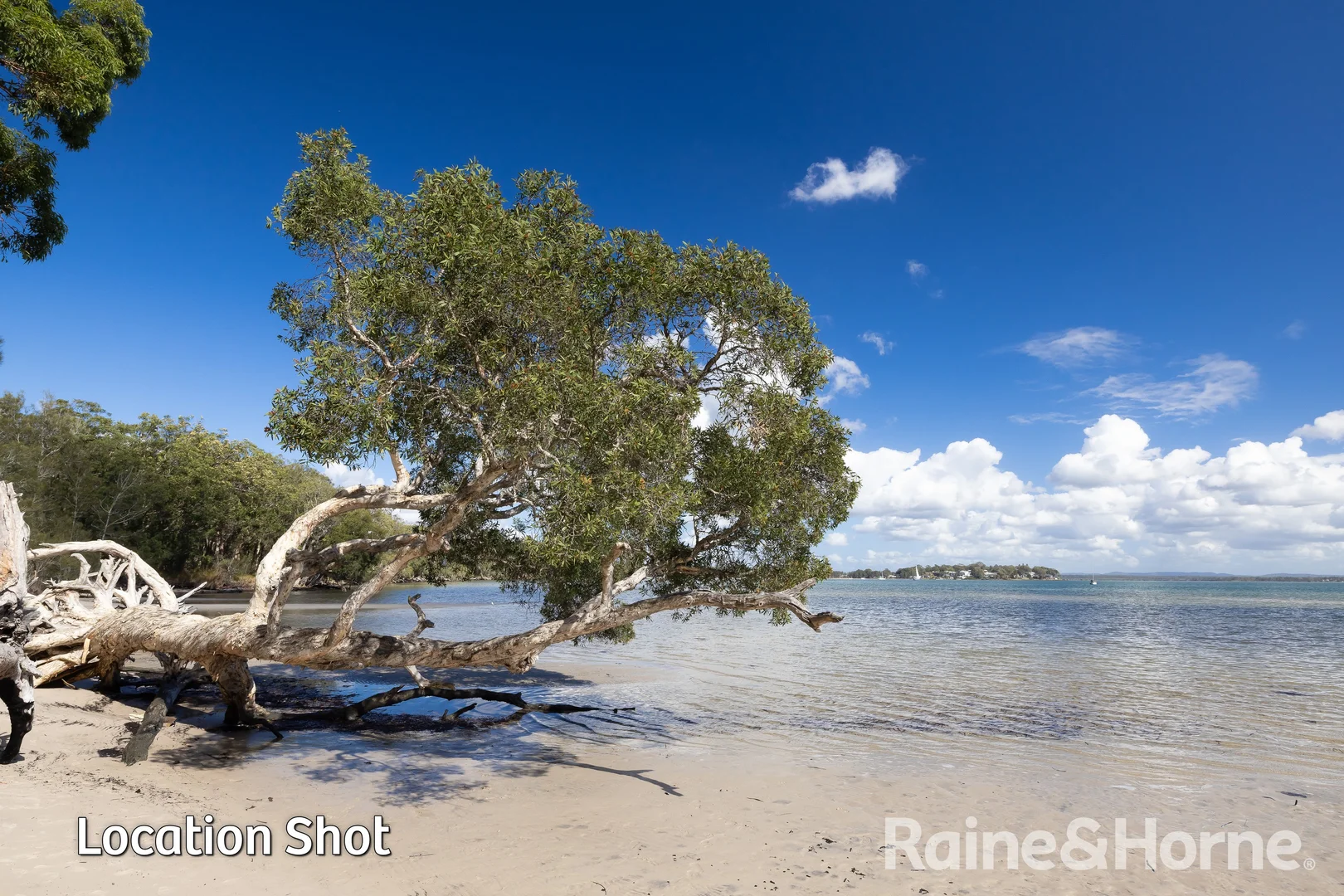 Additional image 23 of 6 Bay Street, Mallabula NSW 2319