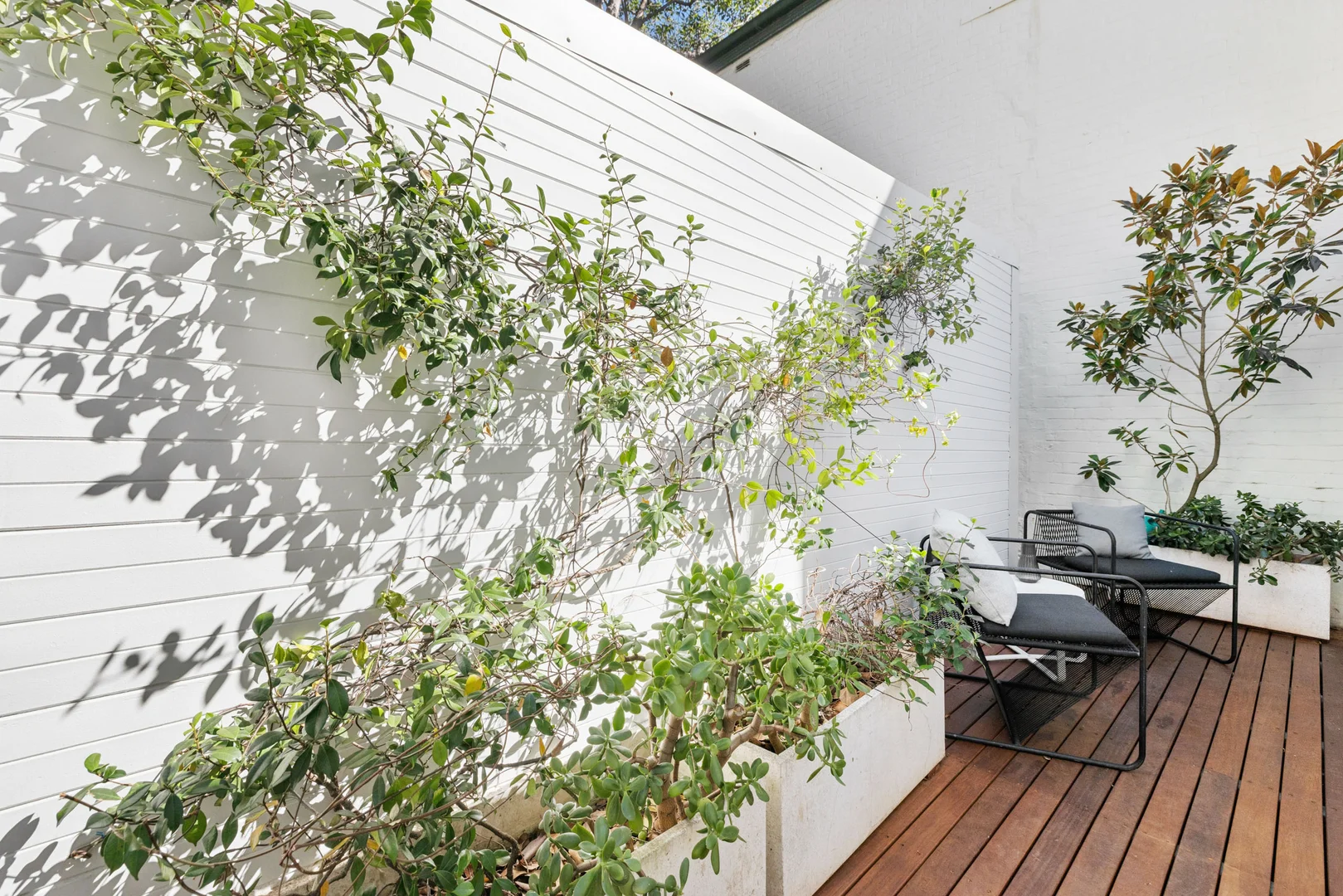 Additional image 6 of 559 Bourke Street, Surry Hills NSW 2010
