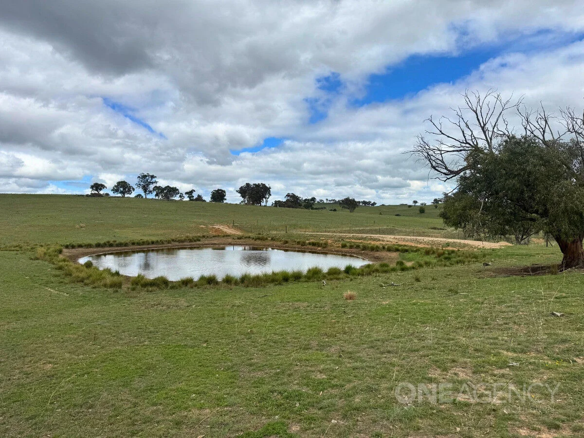 Additional image 11 of 255 Gurrundah Road, Goulburn NSW 2580