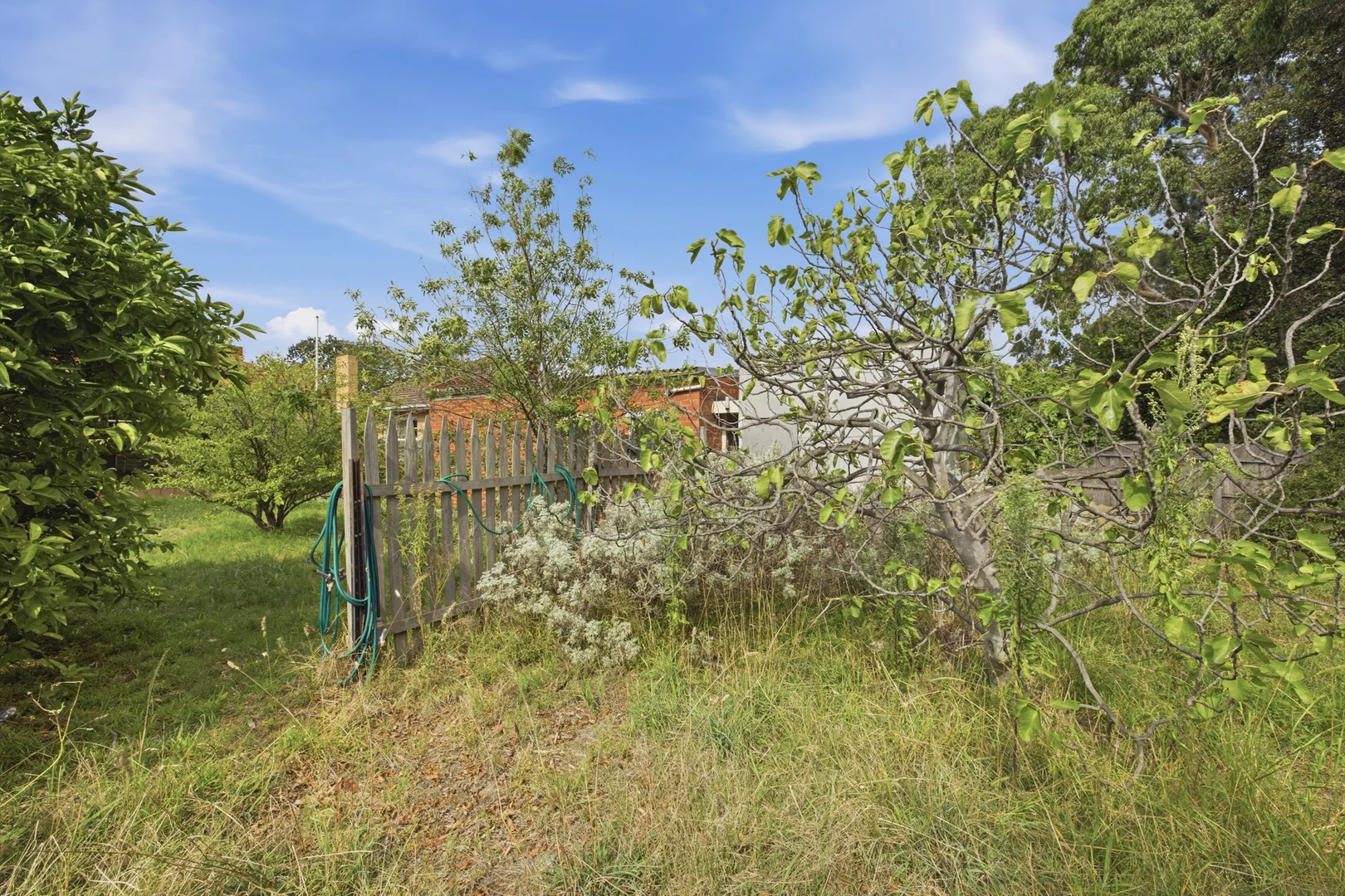 Additional image 10 of 63 Bulli Street, Moorabbin VIC 3189