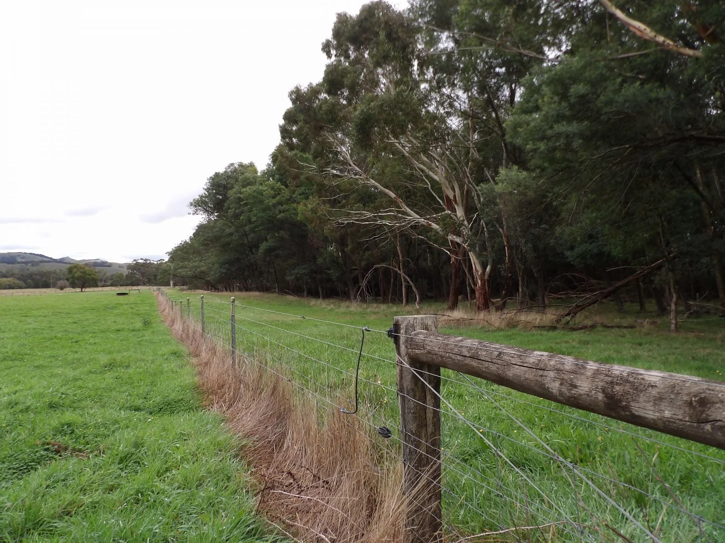 Additional image 22 of 53 Burns Road, Glenburn VIC 3717
