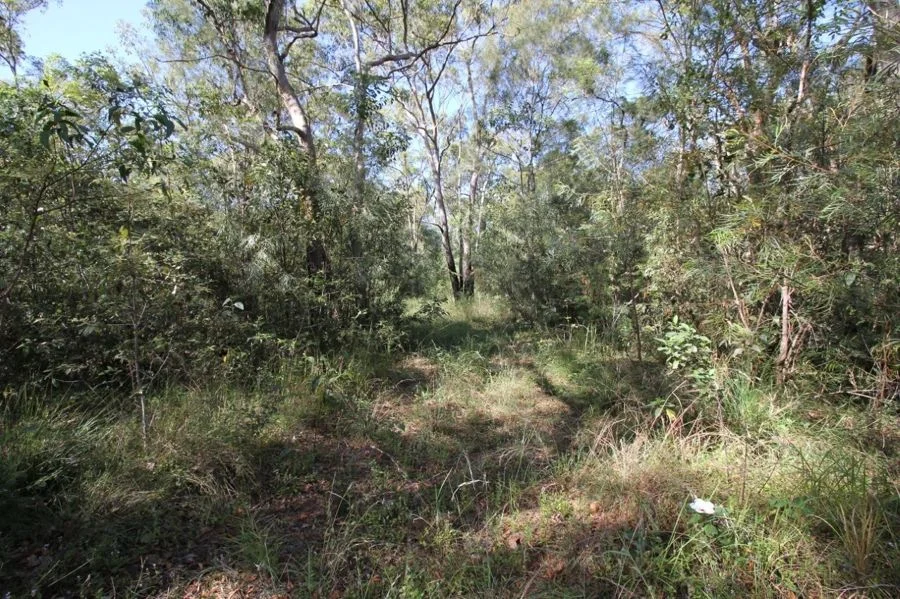 Additional image 31 of 491 Hills Road, Berajondo QLD 4674