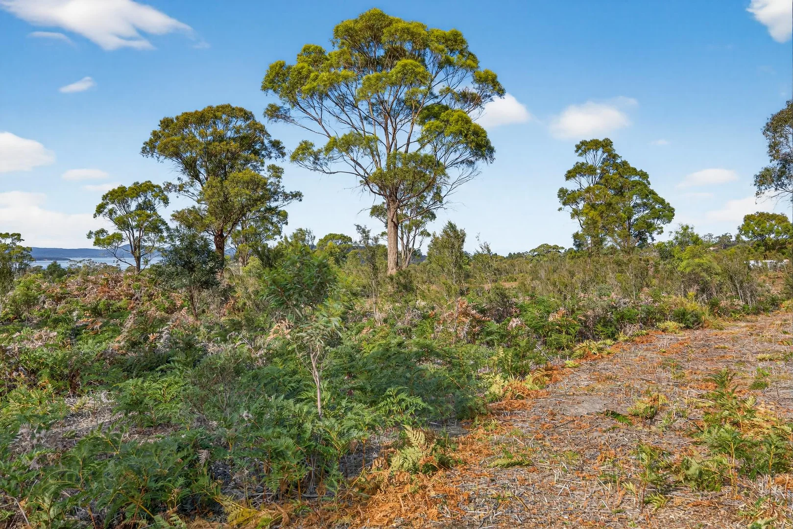 Additional image 10 of 183 Josephs Road, Carlton TAS 7173