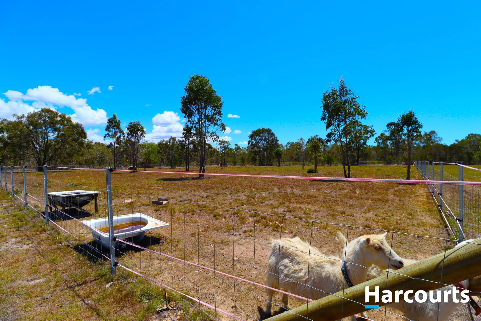 Additional image 9 of 1383 Buxton Rd, Buxton QLD 4660