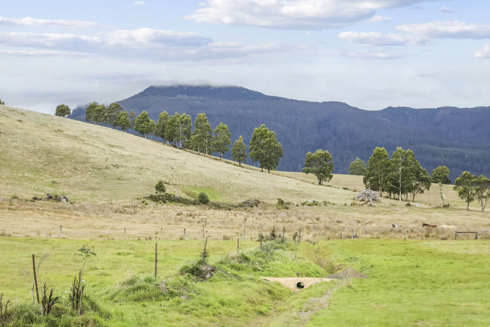 Additional image 29 of 38485 Tasman Highway, Targa TAS 7259