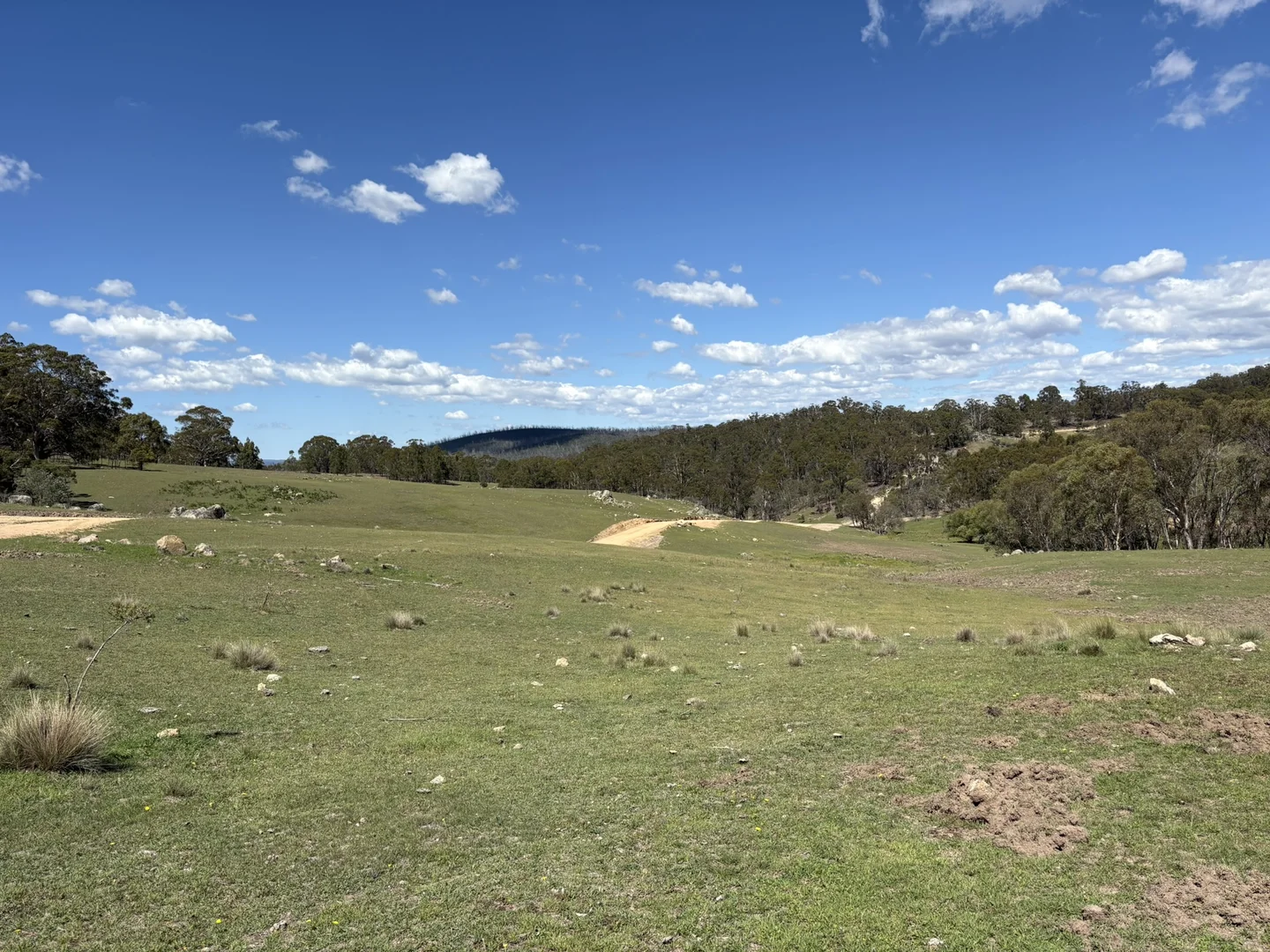 Additional image 8 of 29, 175 Tumbledown Road, Peak View NSW 2630
