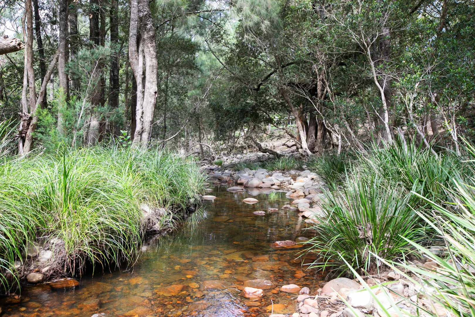 Additional image 38 of 1182 Upper Monkerai Road, Monkerai NSW 2415