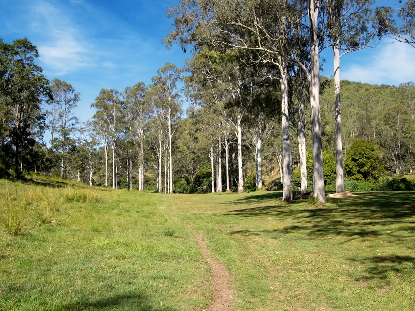 Additional image 23 of 246-274 Rasmussen Road, Neurum QLD 4514