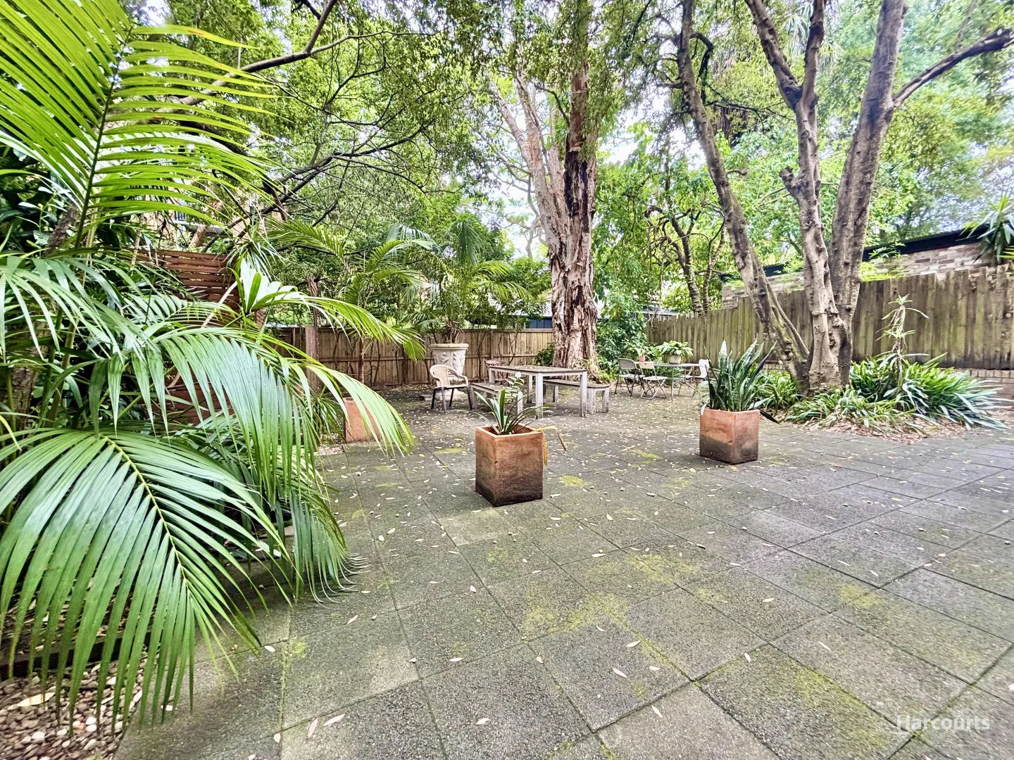 Additional image 7 of 41/95-97 Annandale Street, Annandale NSW 2038