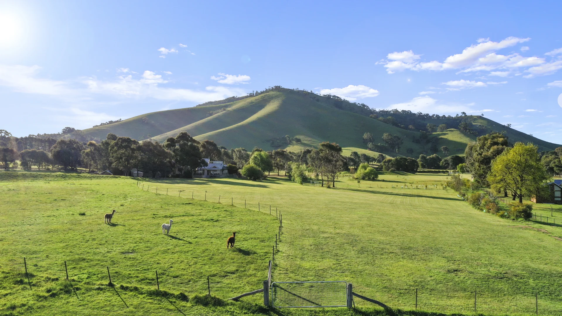 Additional image 19 of 63 Ford Drive, Mansfield VIC 3722