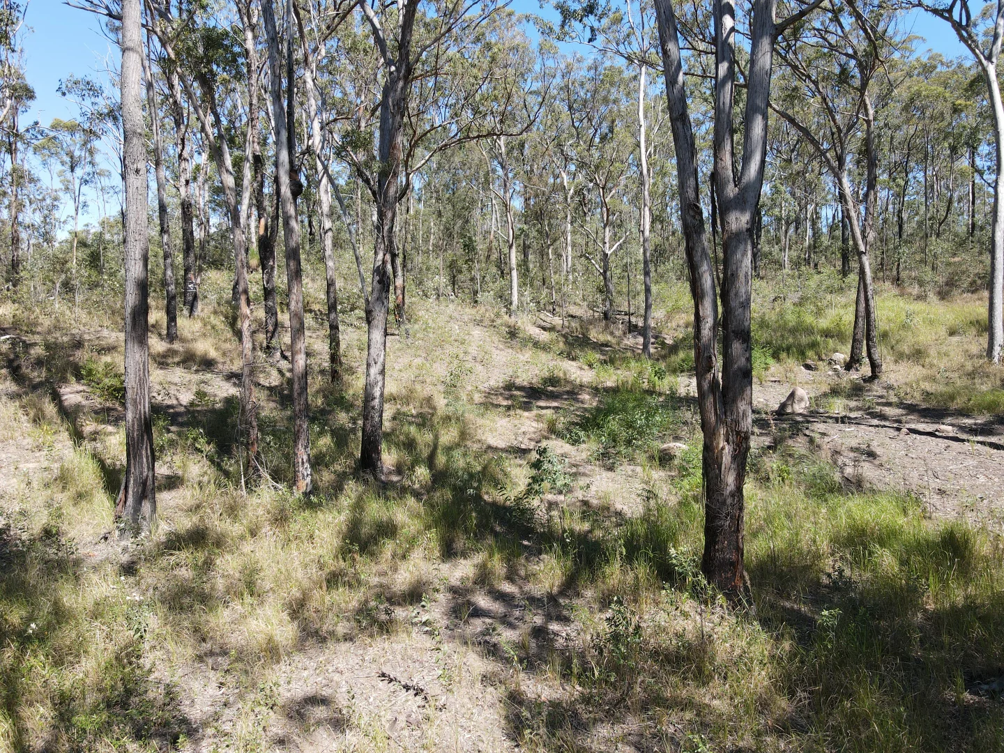 Additional image 17 of 428 Bruxner Road, Drake NSW 2469