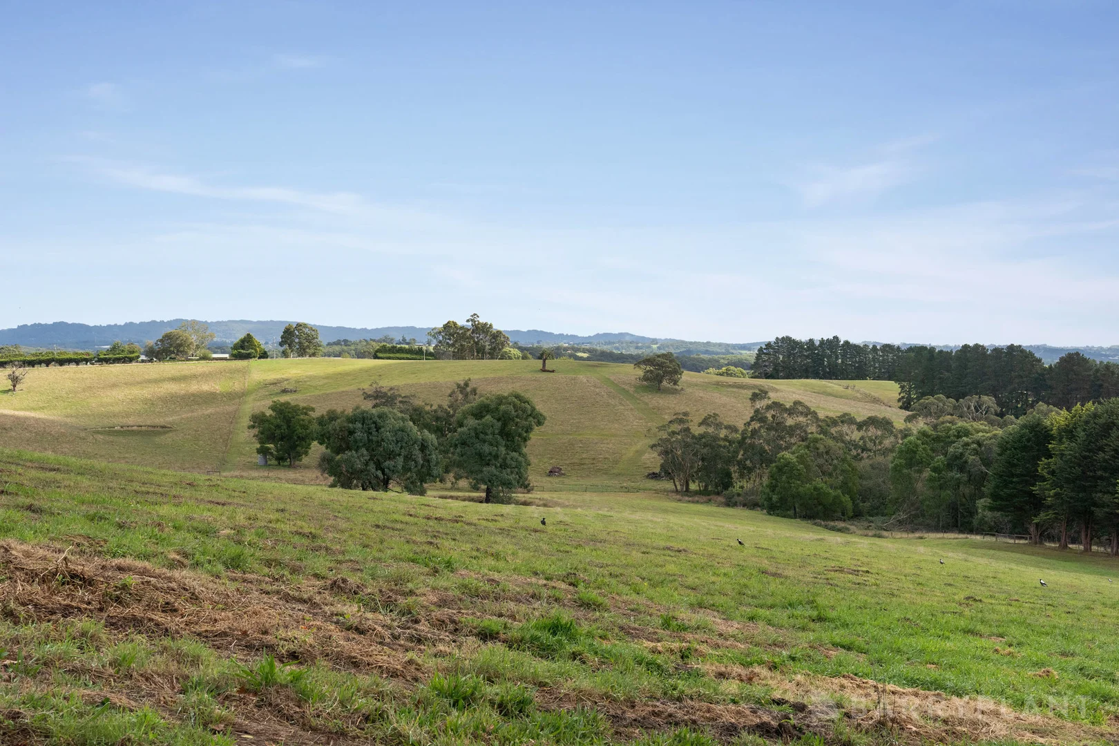 Additional image 23 of 191 Spillers Road, Macclesfield VIC 3782