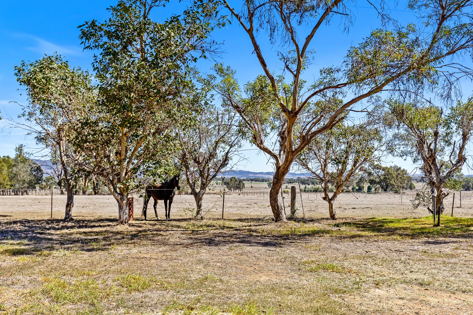 Additional image 14 of 98 Rocky Waterhole Road, Mudgee NSW 2850
