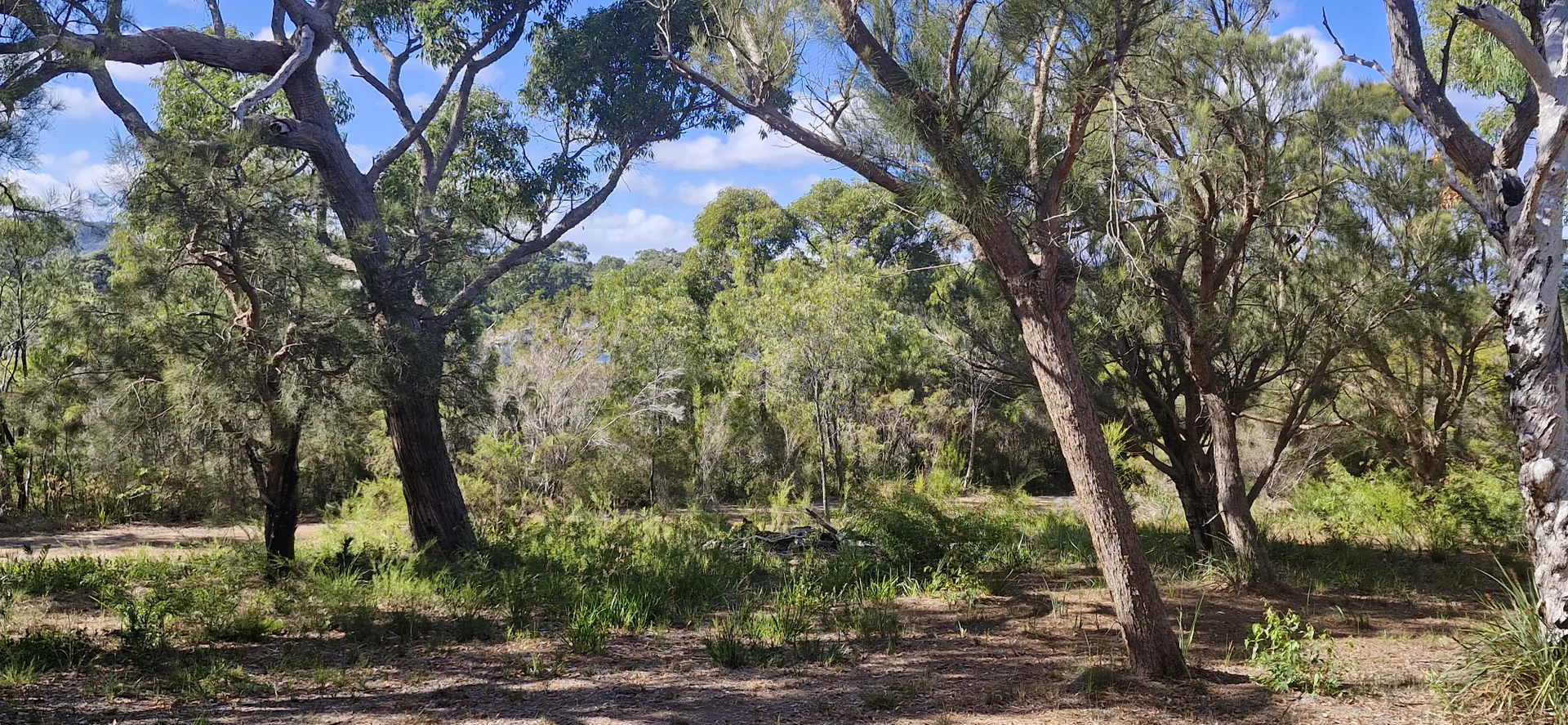 Additional image 10 of 14 Burton Close, Walpole WA 6398