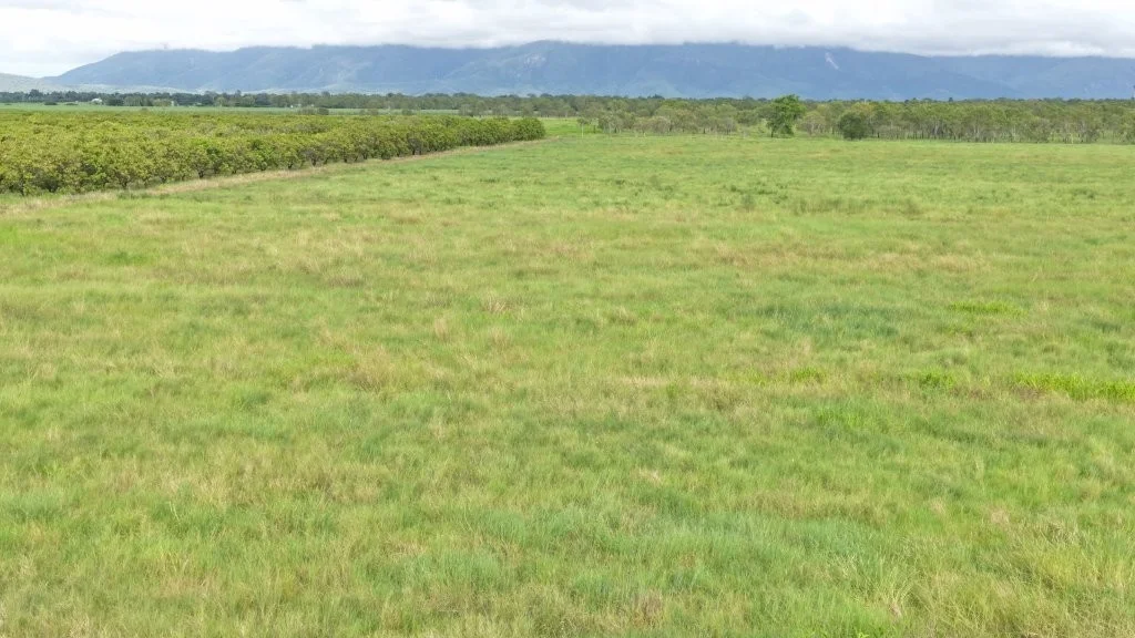 Additional image 19 of Giru QLD 4809
