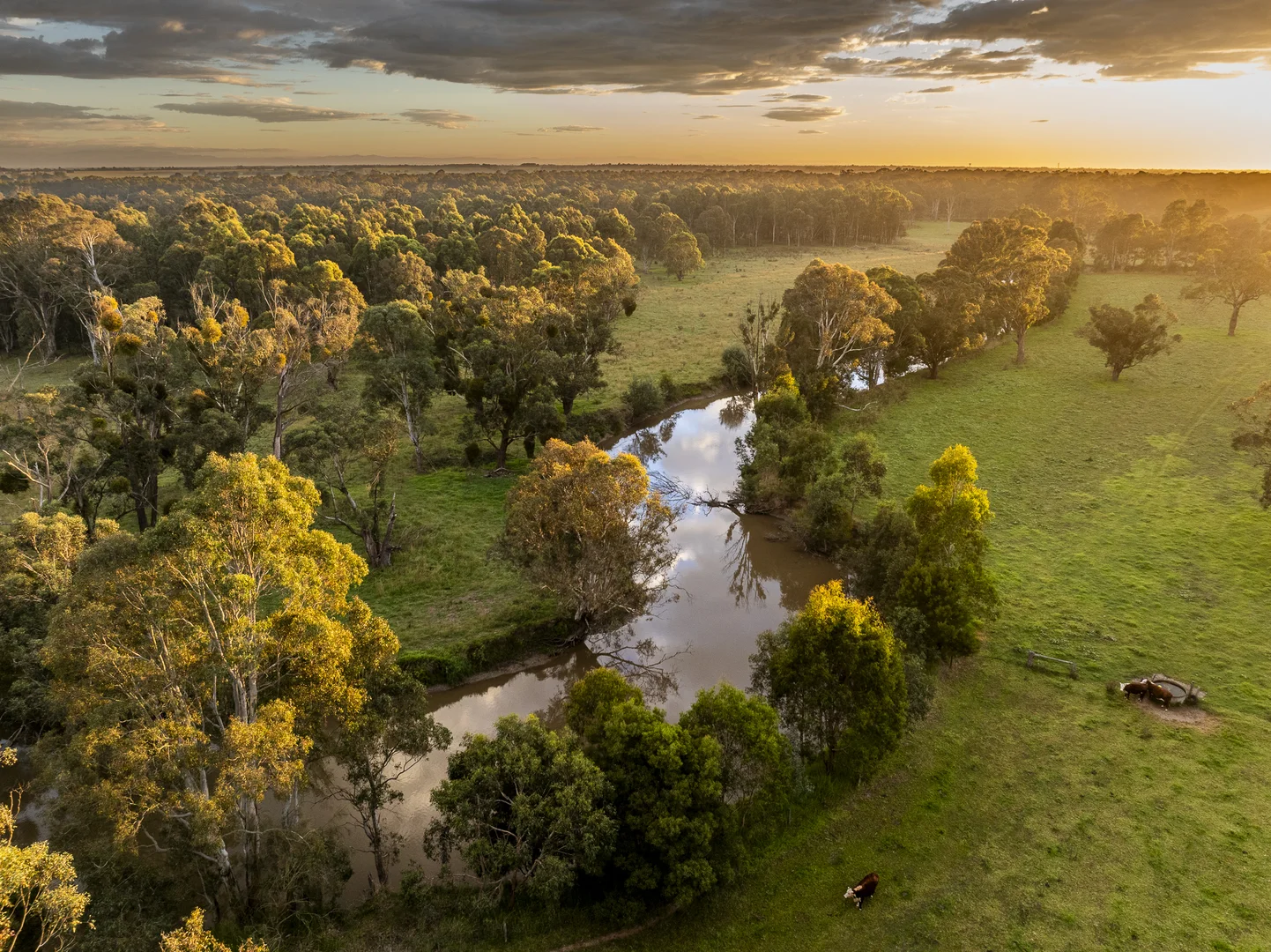 Additional image 4 of 103 Kellys Road, Longford VIC 3851