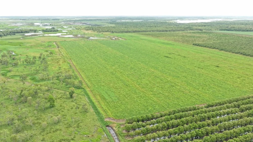 Additional image 10 of Giru QLD 4809