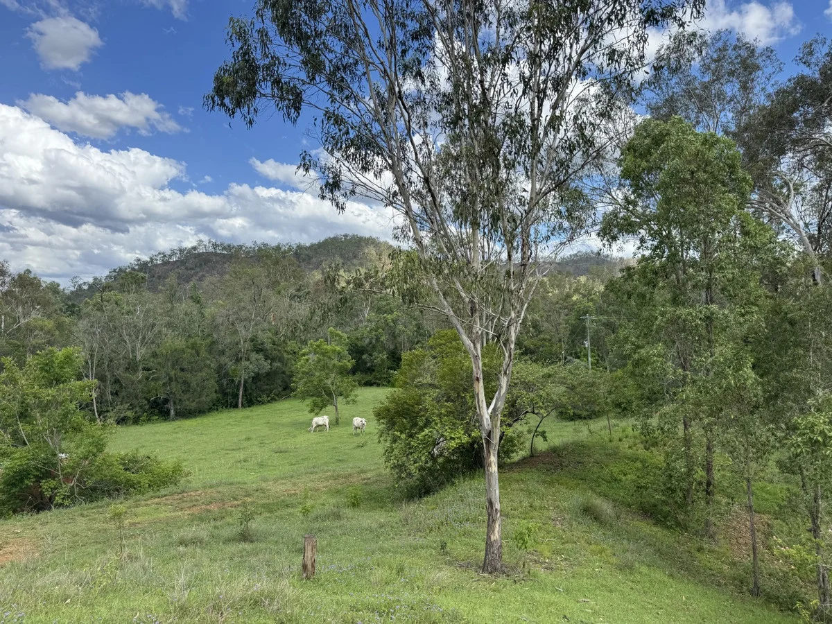 Additional image 15 of 2 Seal Road, Boyne Valley QLD 4680