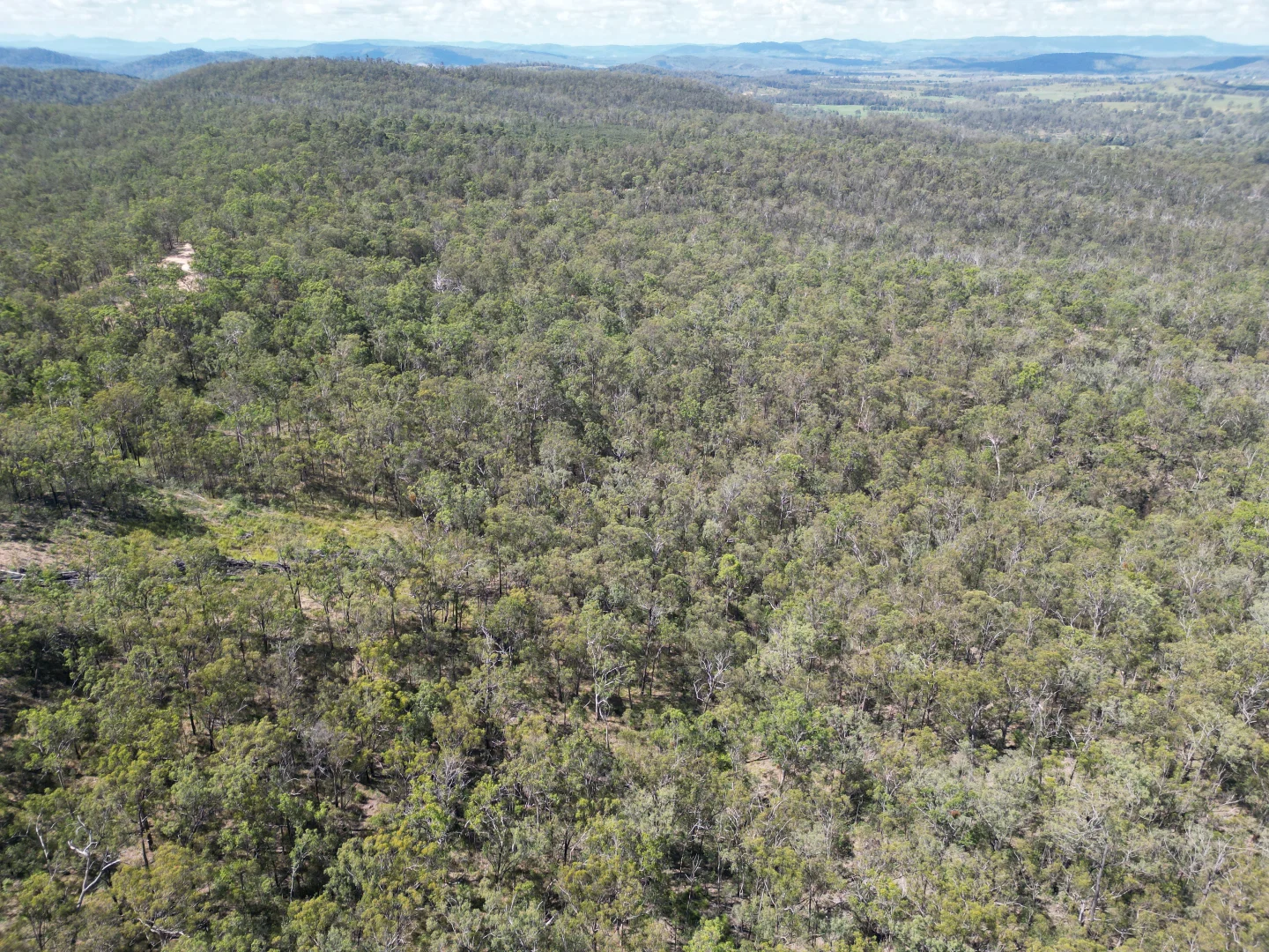 Additional image 6 of 428 Bruxner Road, Drake NSW 2469