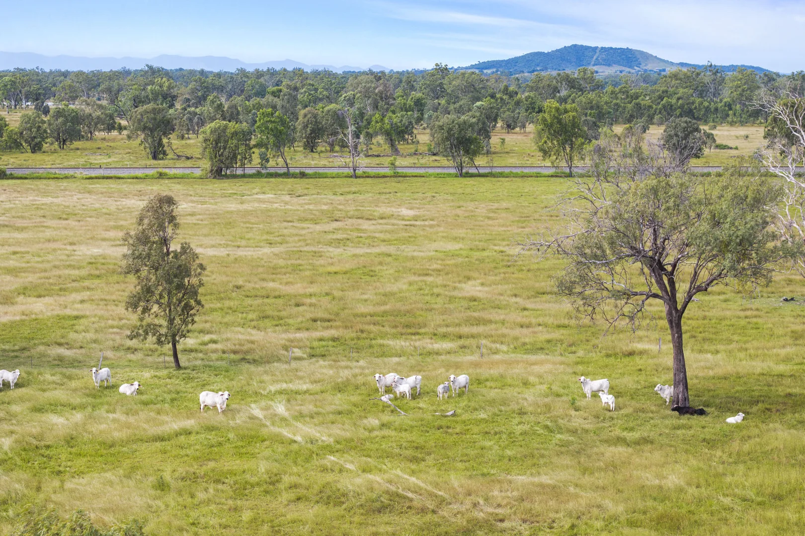 64930 Bruce Highway, Yaamba QLD 4704 photo 2