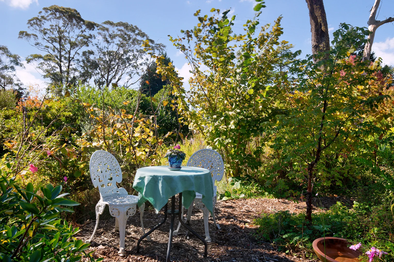 Additional image 10 of 53 Evans Lookout Road, Blackheath NSW 2785
