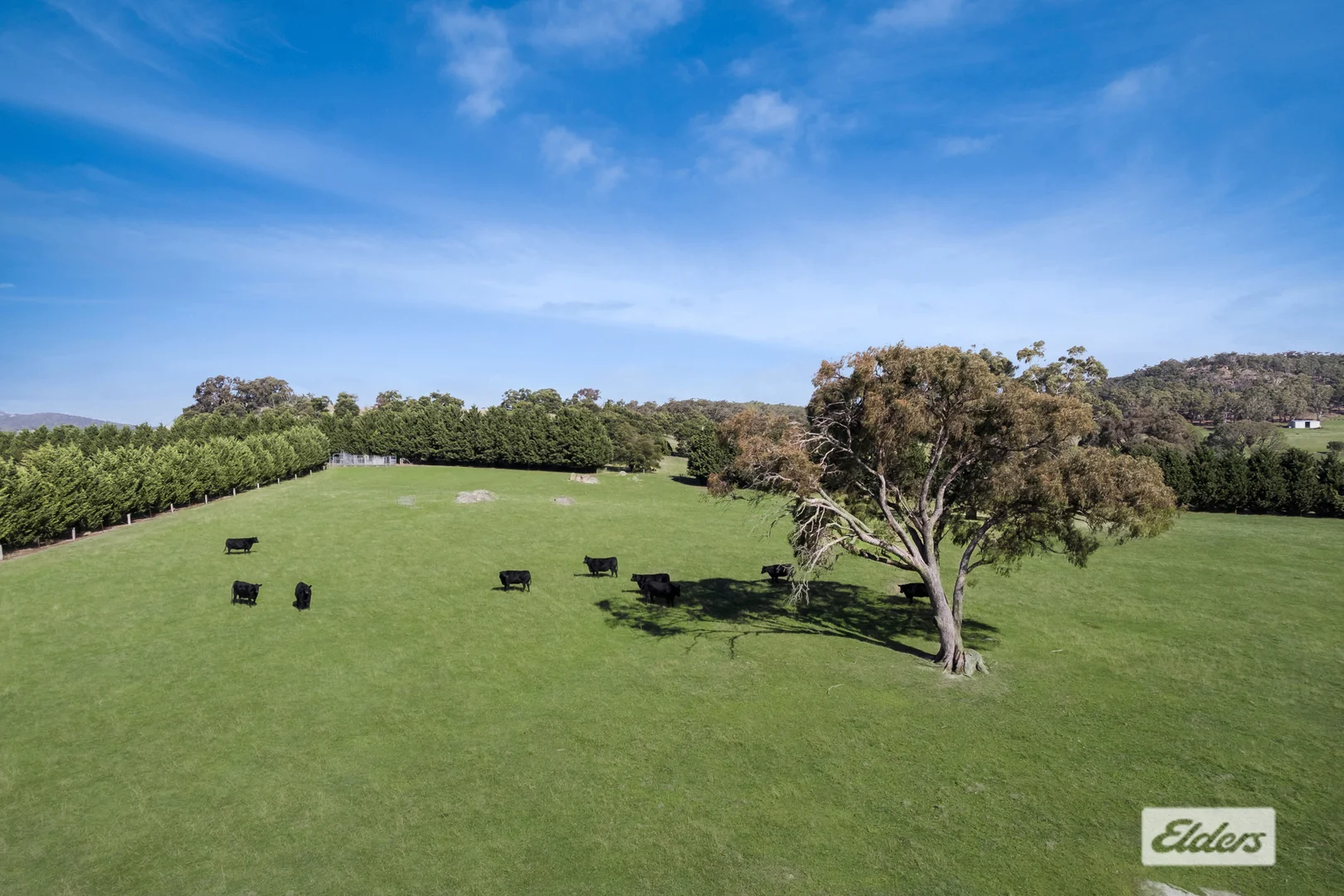 Additional image 10 of 245 Martins Road, Nulla Vale VIC 3435
