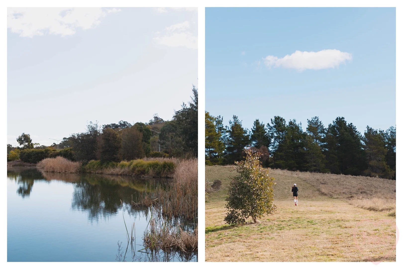 Additional image 33 of 24 Digby Circuit, Crace ACT 2911