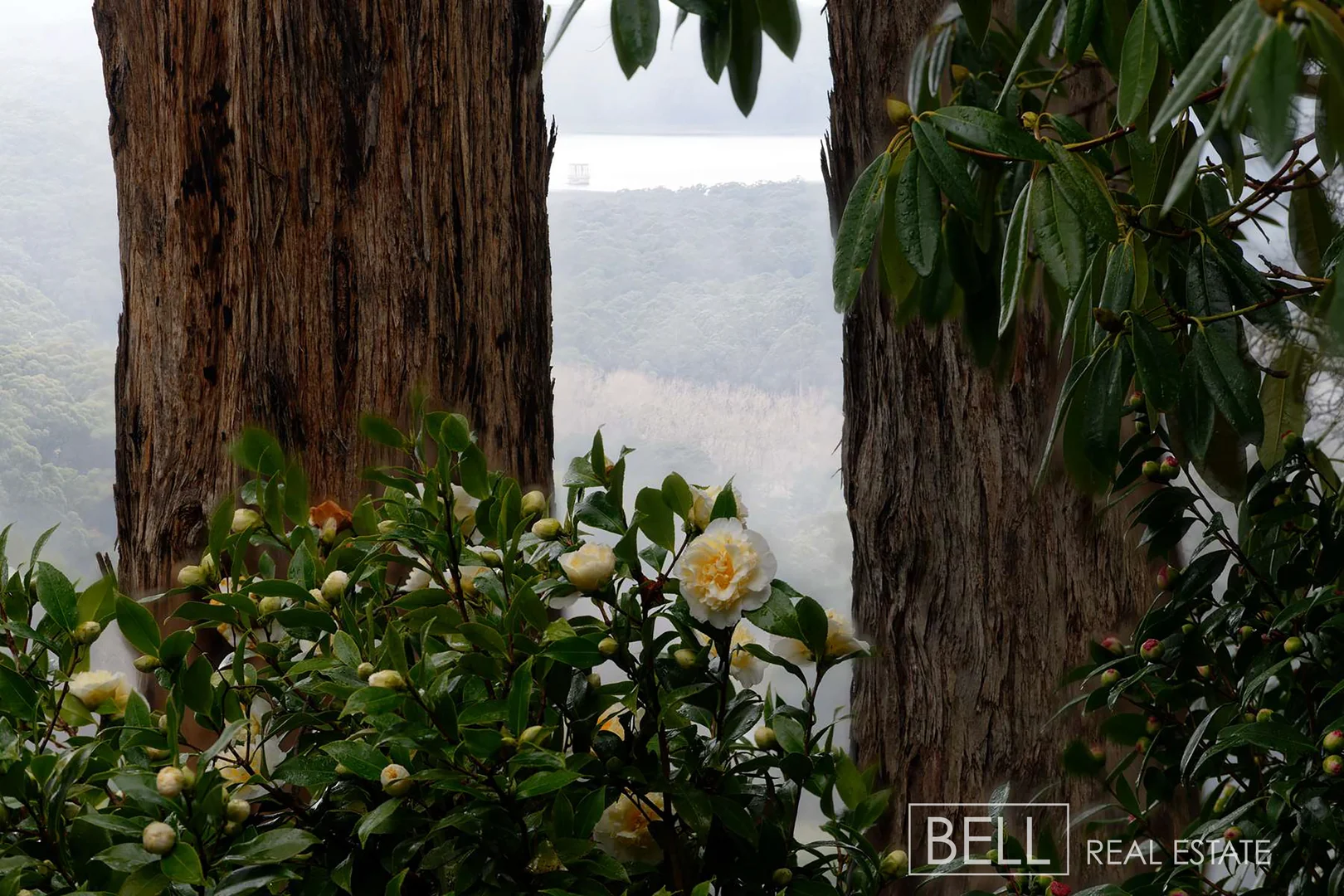 Additional image 16 of 24 Barbers Road, Kalorama VIC 3766