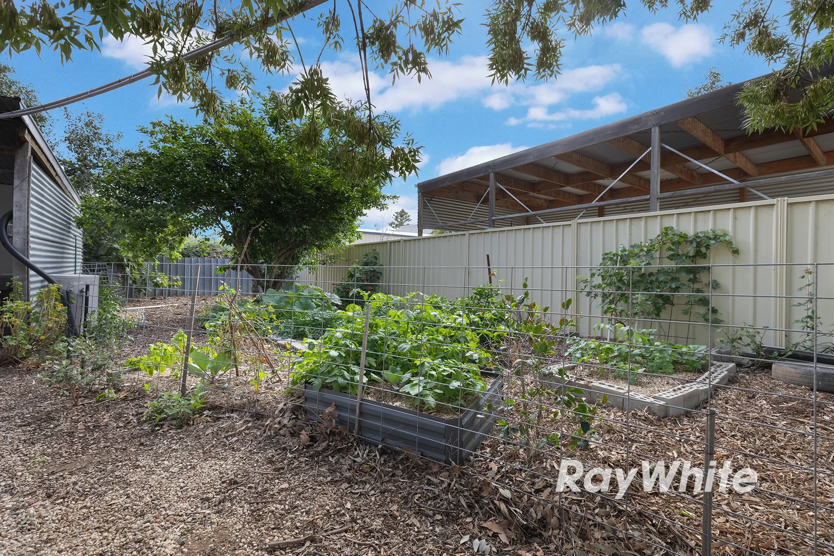 Additional image 28 of 56 Baynes Street, Rochester VIC 3561