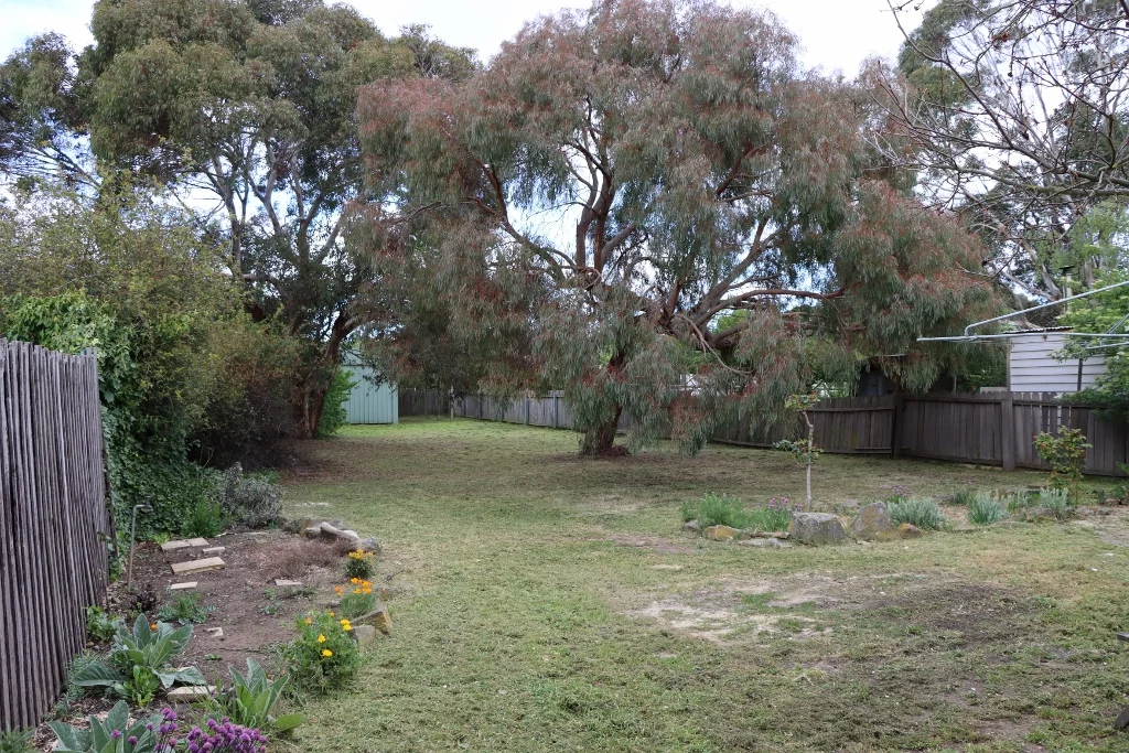 Additional image 22 of Ross TAS 7209