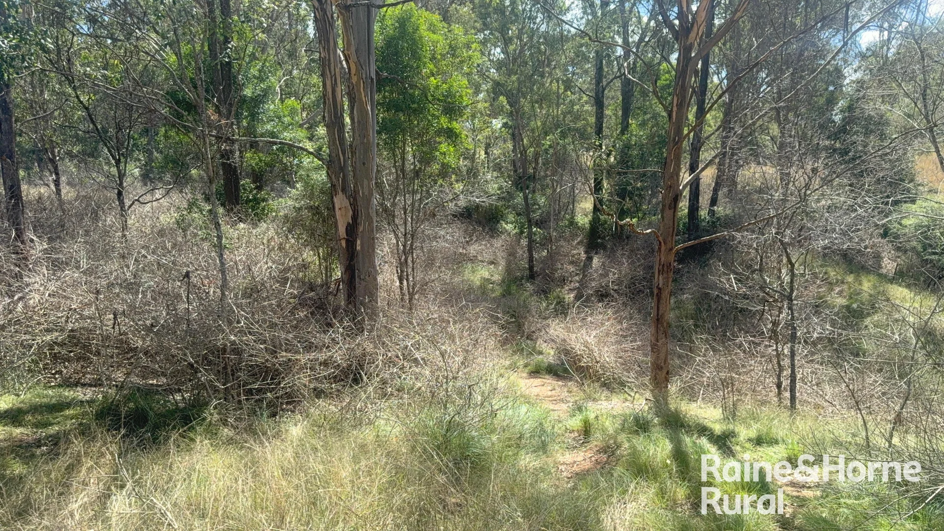 Additional image 18 of 355 Hillsdale, Kingaroy QLD 4610
