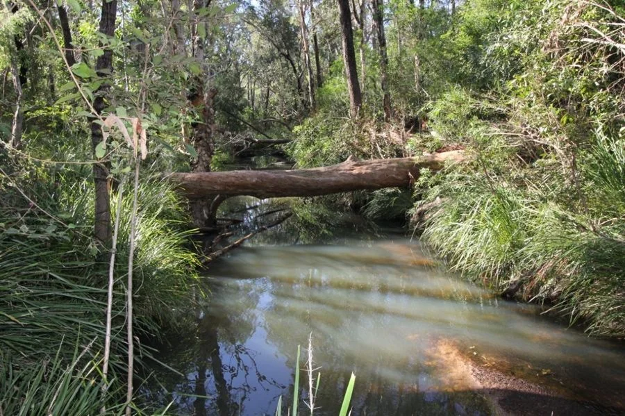 Additional image 5 of 491 Hills Road, Berajondo QLD 4674