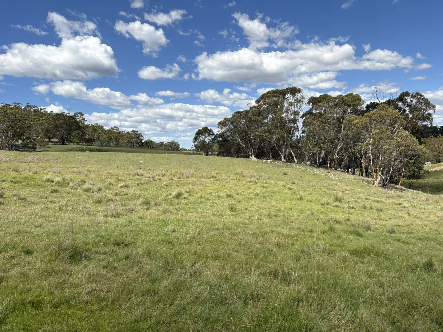 Additional image 9 of 29, 175 Tumbledown Road, Peak View NSW 2630