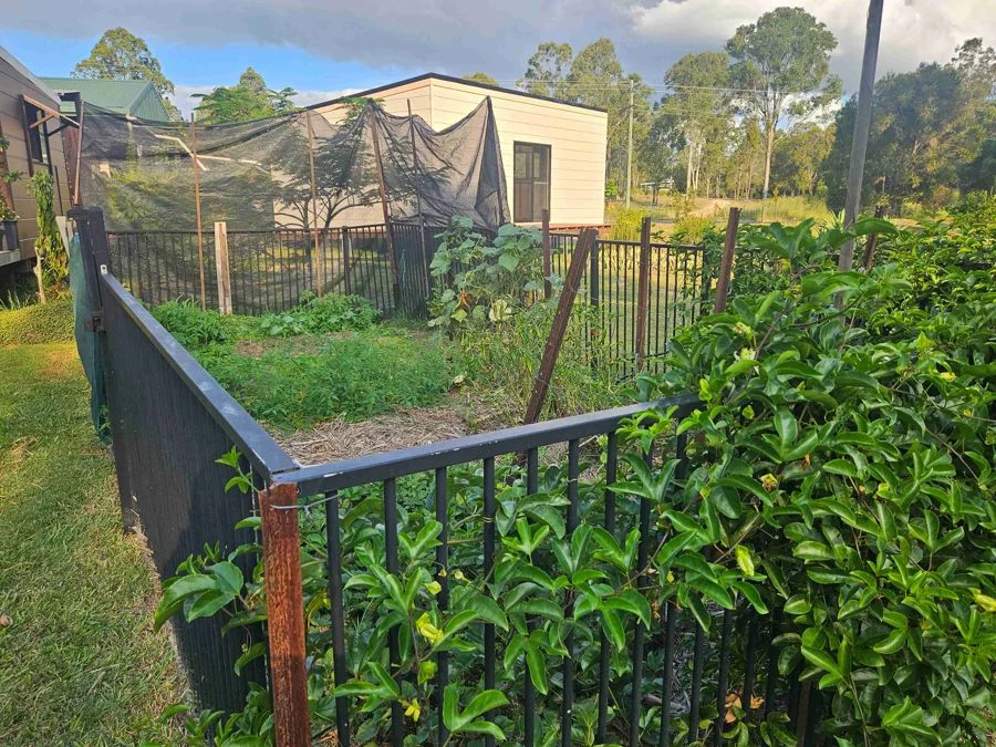 Additional image 12 of 199 Arborthree Road, Glenwood QLD 4570