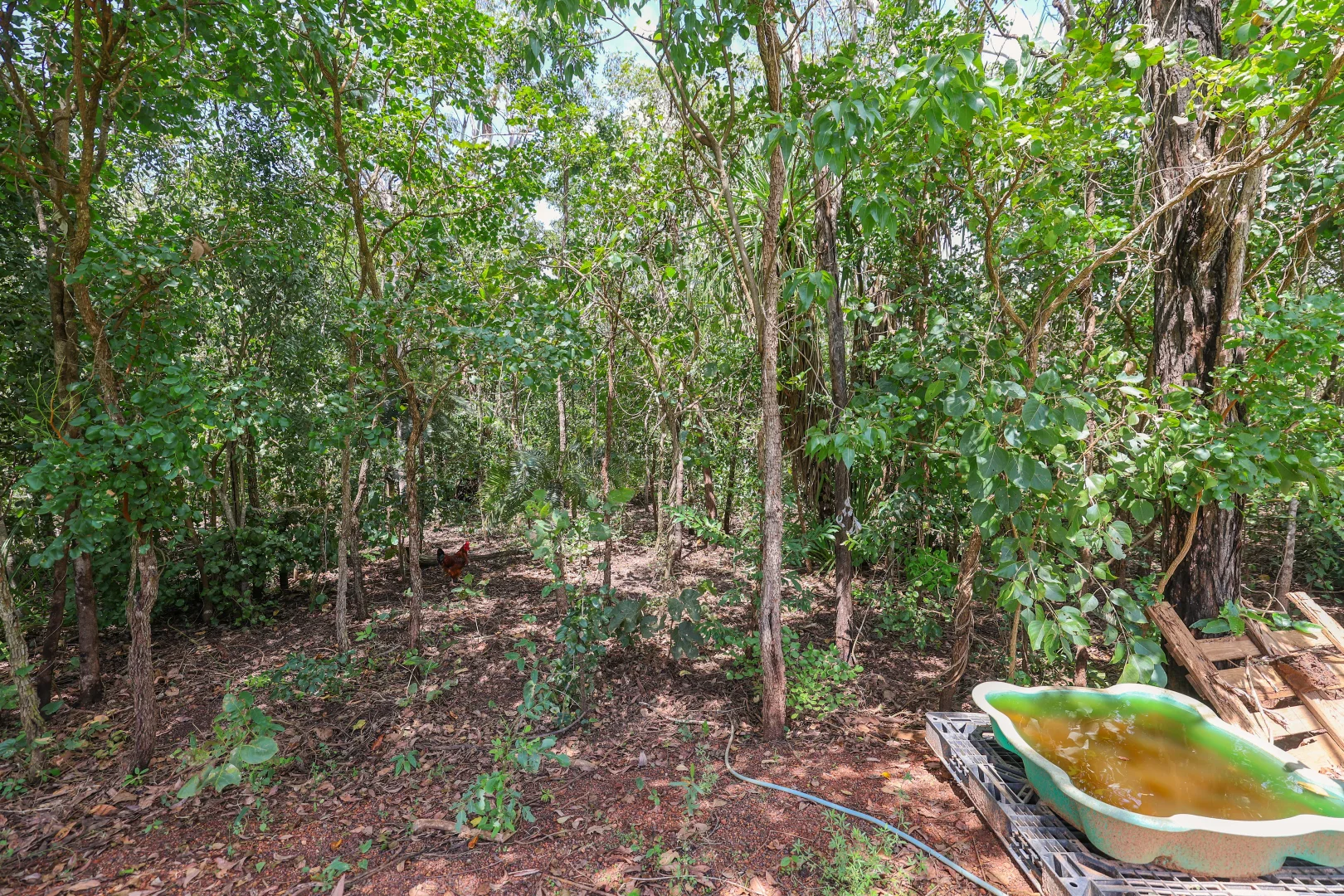 Additional image 34 of 46 Mckinlay Road, Herbert NT 0836