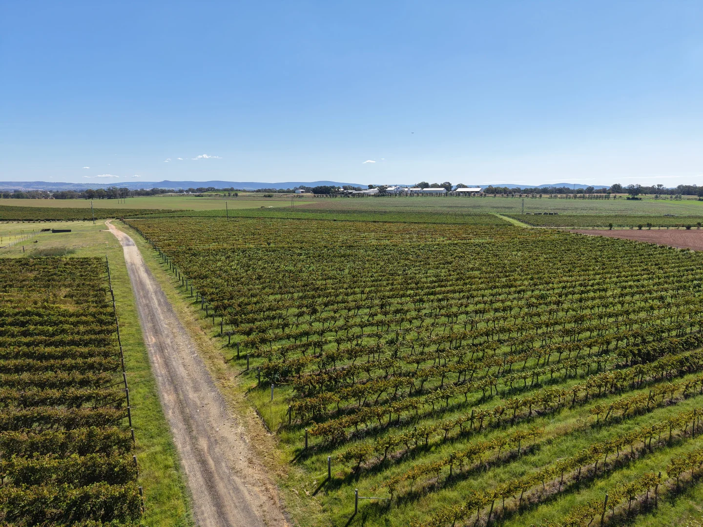 Additional image 11 of Lot 10 Chardonnay Lane, Cowra NSW 2794